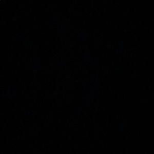 Meet your Posher, Curly